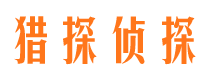 江汉市婚外情调查